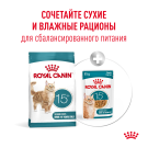 2кг Корм ROYAL CANIN Ageing 15+ для пожилых кошек старше 15 лет