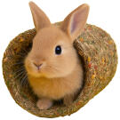 450г Лакомство Smile King для шиншилл и кроликов Домик-туннель