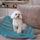 Лежанка Mr.Kranch для собак Листочек средняя, 90*65*5см, мятная