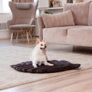 Лежанка Mr.Kranch Листочек для собак Коричневая, 90*65*5см