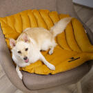 Лежанка Mr.Kranch для собак Листочек средняя, 90*65*5см, охра