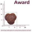 1+1 0,4кг Корм Award Indoor Big cats для взрослых домашних кошек крупных пород с Говядиной и Курицей с добавлением брокколи и юкки Шидигера