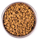 1,5кг Корм Monge Cat Indoor для домашних кошек с Курицей