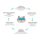 1,5кг Корм MyBestie Adult для взрослых кошек