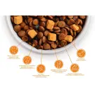 2кг Корм MyBestie Adult Duck для взрослых собак всех пород с Уткой