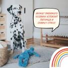 Игрушка MY DOG Обезьяна-шуршалка для собак с кармашком, 40см