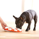 Игра-головоломка Nina Ottosson для собак Smart, 1 начинающий уровень сложности