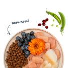 2кг Корм Bosch Sanabelle Adult mit Forelle & Blaubeeren Life для взрослых кошек с Форелью