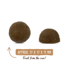 0,8кг Корм Bosch Oven Baked монопротеиновый беззерновой из печи для взрослых собак с чувствительным пищеварением с Говядиной