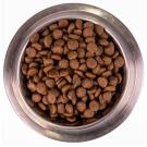 2,5кг Корм Monge Dog SP Monoprotein Adult Trout with Rice для взрослых собак всех пород c Форелью, рисом и картофелем