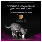 1,5кг Корм PRO PLAN Veterinary Diets UR ST/OX Urinary для взрослых кошек при мочекаменной болезни с Курицей