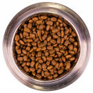 15кг Корм Monge Dog SP Mini Adult Chicken/Rice для взрослых собак мелких пород c Курицей и рисом