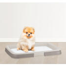 Лоток IDEA для собак под пеленку Смоки, 45*34см