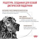 15кг Корм ROYAL CANIN Gastrointestinal диета для взрослых собак при нарушении пищеварения