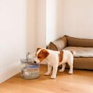 Поилка-фонтан NUNBELL для животных с краником 22*15*16см, USB-Type-C