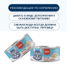 95г Консервы Wanpy Cat для кошек Курица с Лососем