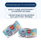 95г Консервы Wanpy Cat для кошек Курица с Креветками