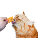 15г*4шт Крем-лакомство Мнямс для кошек с Курицей (срок 22.07.2026)