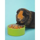 Корм Little One для морских свинок, 2,3кг