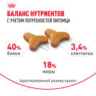 0,4кг Корм ROYAL CANIN Bengal для взрослых Бенгальских кошек от 12 месяцев (срок 07.06.2026)