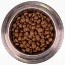 15кг Корм Monge Dog SP Monoprotein Adult Duck/Rice для взрослых собак всех пород с Уткой и рисом