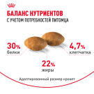 2кг Корм ROYAL CANIN Persian для взрослых Персидских кошек старше 12 месяцев (срок до 20.07.2026)