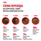 2кг Корм ROYAL CANIN British Shorthair Kitten для котят Британских короткошерстных до 12 месяцев (срок до 20.07.2026)