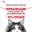 4кг Корм ROYAL CANIN Digestive Care для взрослых кошек с чувствительным пищеварением (срок до 26.07.2026)