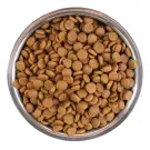 2,5кг Корм Monge Puppy&Junior SP Monoprotein Duck/Rice для щенков всех пород с Уткой и рисом