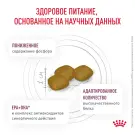 2кг Корм ROYAL CANIN Renal Select Canine диета для взрослых собак с хронической болезнью почек