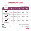 2кг Корм ROYAL CANIN Renal Select Canine диета для взрослых собак с хронической болезнью почек