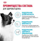 3кг Корм ROYAL CANIN X-Small Puppy для щенков миниатюрных пород до 10 месяцев