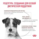 1кг Корм ROYAL CANIN Gastrointestinal Low Fat Small Dog диета для взрослых собак мелких пород при нарушениях пищеварения