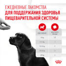 100г Лакомство Royal Canin Dog Immunity&Digestion Puppy для щенков для улучшения пищеварения и укрепления иммунитета