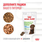 100г Лакомство Royal Canin Dog Immunity&Digestion Puppy для щенков для улучшения пищеварения и укрепления иммунитета