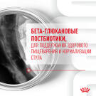 100г Лакомство Royal Canin Dog Immunity&Digestion Puppy для щенков для улучшения пищеварения и укрепления иммунитета