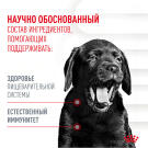 100г Лакомство Royal Canin Dog Immunity&Digestion Puppy для щенков для улучшения пищеварения и укрепления иммунитета