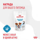 110г Лакомство Royal Canin Training Treats для дрессировки собак