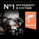 3кг Корм PRO PLAN для взрослых собак средних пород с чувствительной кожей с Лососем и Рисом (срок до 25.08.2026)