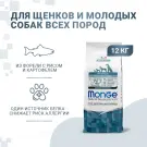 12кг Корм Monge Puppy&Junior SP Monoprotein Trout with Rice&Potatoes для щенков всех пород c Форелью, рисом и картофелем