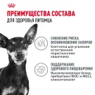 1кг Корм ROYAL CANIN Mini Digestive Care для взрослых собак мелких размеров с чувствительным пищеварением