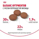 1кг Корм ROYAL CANIN Mini Digestive Care для взрослых собак мелких размеров с чувствительным пищеварением