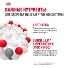 1кг Корм ROYAL CANIN Mini Digestive Care для взрослых собак мелких размеров с чувствительным пищеварением