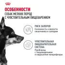 8кг Корм ROYAL CANIN Mini Digestive Care для взрослых собак мелких размеров с чувствительным пищеварением