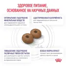 0,8кг Корм ROYAL CANIN Neutered Adult Small Dog для стерилизованных собак мелких пород, весом до 10кг