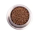 20кг Корм Gemon Dog MINI Adult для взрослых собак мелких пород с Курицей