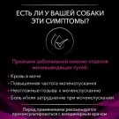 1,5кг Корм PPVD UR Urinary для взрослых собак, при мочекаменной болезни