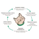 1,5кг Корм MyBestie Sensitive для кошек с Уткой и Ягнёнком