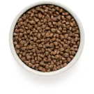 2кг Корм GRANDORF CAT Lamb&Rice INDOOR низкозерновой для взрослых кошек с ягнёнком и индейкой