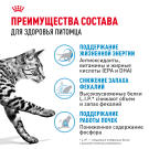 1,5кг Корм ROYAL CANIN Indoor+7 для стареющих кошек, живущих в помещении старше 7 лет (срок до 14.07.2026)